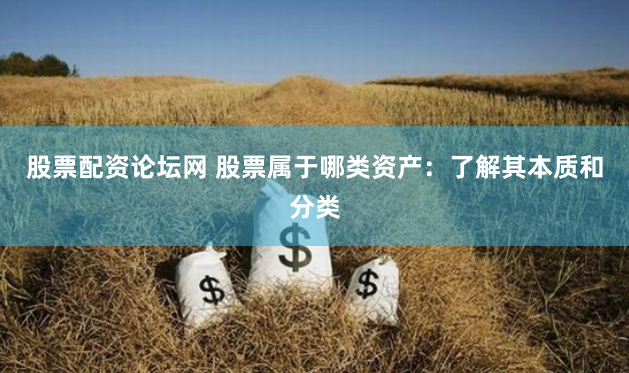 股票配资论坛网 股票属于哪类资产：了解其本质和分类